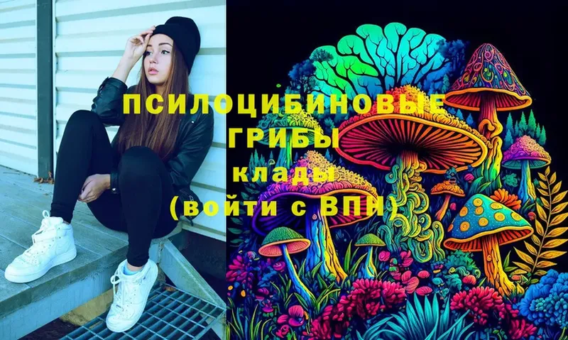 что такое наркотик  Кремёнки  Галлюциногенные грибы MAGIC MUSHROOMS 